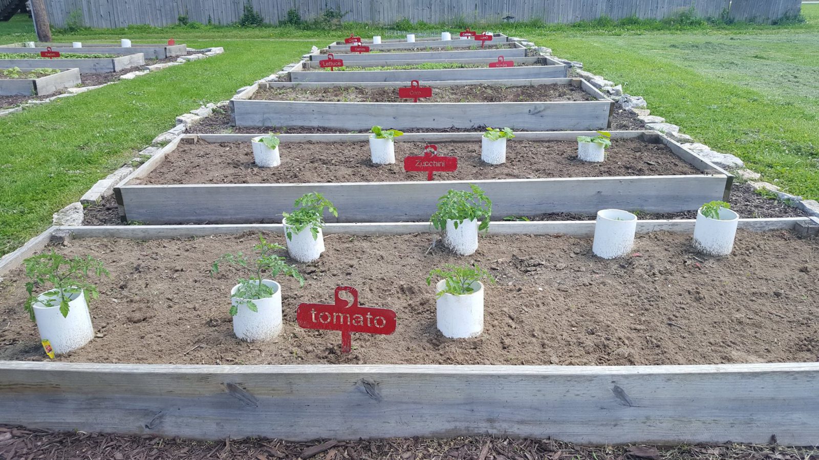 Community Garden